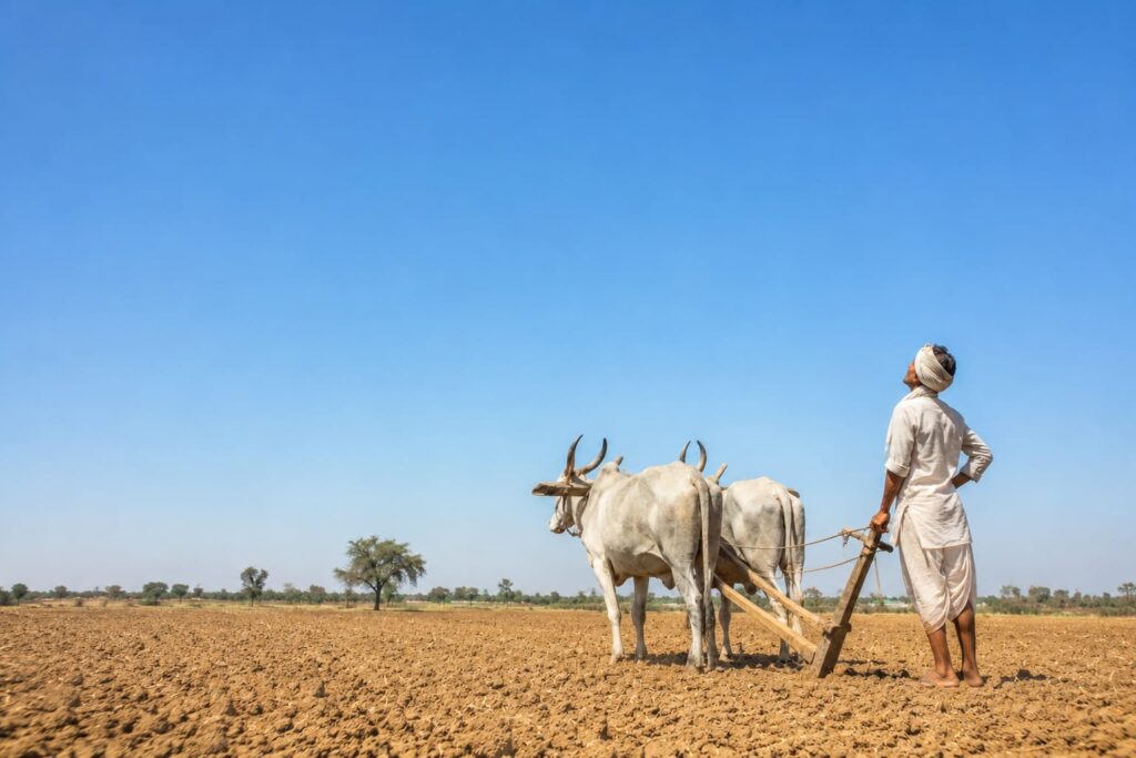 रतलाम: मानसून की खेंच से किसानों के साथ पेयजल आपूर्ति पर मंडरा रहे चिंता के बादल, पुरे मालवा में एक जैसा इंतज़ार…एल नीनो और कमजोर मौसमी तंत्र मानसून की धीमी चाल का बना कारण