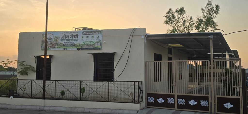 रतलाम: मूक पशु-पक्षियों की सेवा को मिला स्थायी ठिकाना, जीव मैत्री परिवार के चिकित्सालय का शुभारंभ हुआ