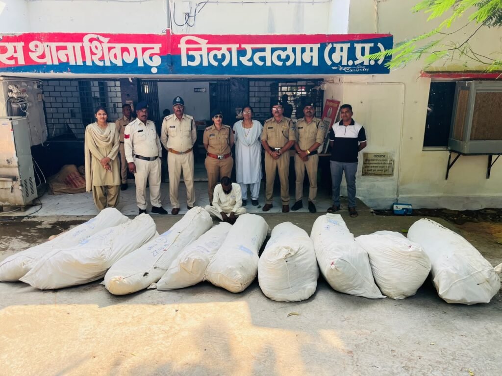 रतलाम: कपास-मक्का की फसल के बीच उगा रखे थे गांजे के 880 पौधे, कीमत 28 लाख रुपए से ज्यादा…शिवगढ़ पुलिस ने ग्राम गुंजा में दी दबिश, 280.65 किलो गांजे के हरे पौधे जब्त, 52 वर्षीय आरोपी गिरफ्तार